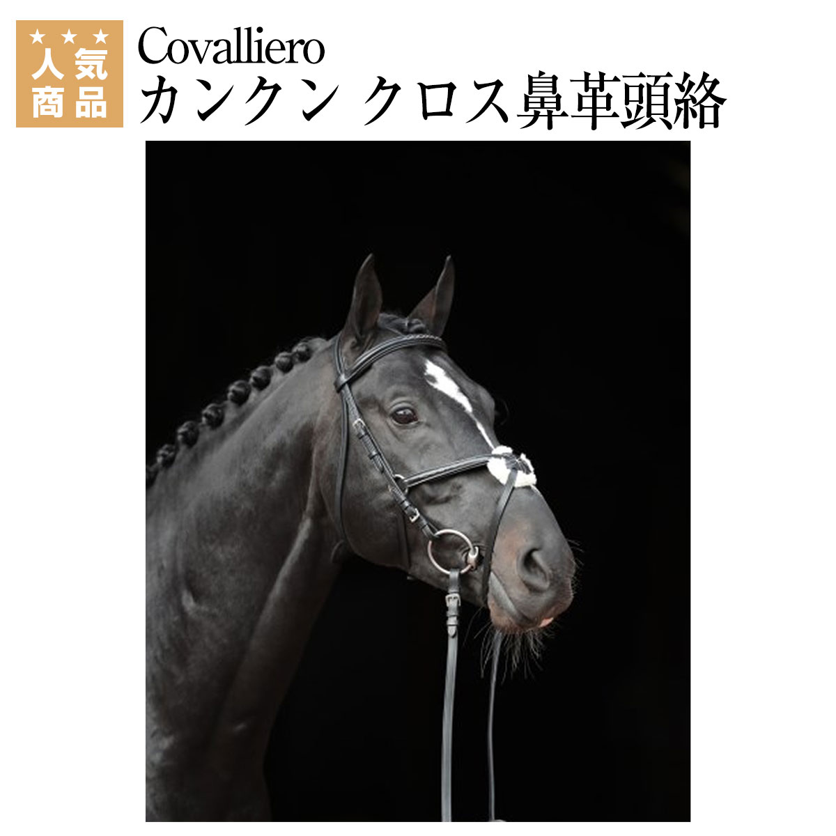 楽天市場】乗馬 頭絡 額革 Covalliero カンクン クロス鼻革頭絡（手綱