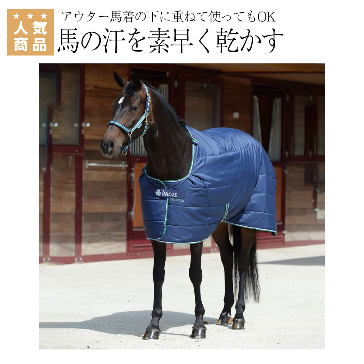 ターンアウトラグ 薄馬着 乗馬用品 その他 | endageism.com