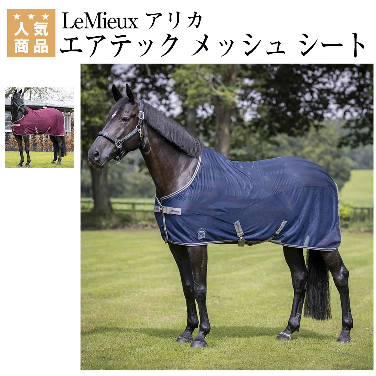 予約受付中】 乗馬 フライシート 馬着 ienomat.com.br