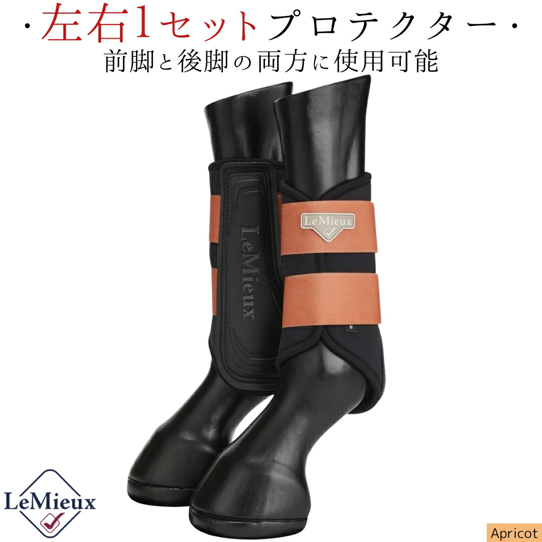 楽天市場】乗馬 プロテクター LeMieux ニューグラフター