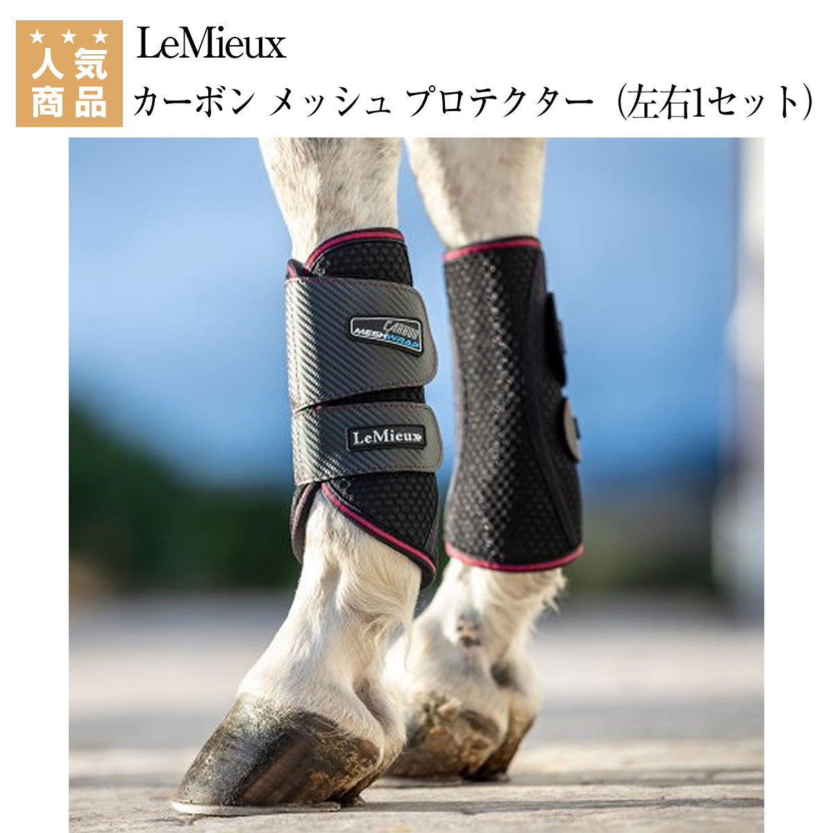 楽天市場】乗馬用品 乗馬 【送料無料】 プロテクター LeMieux メッシュ