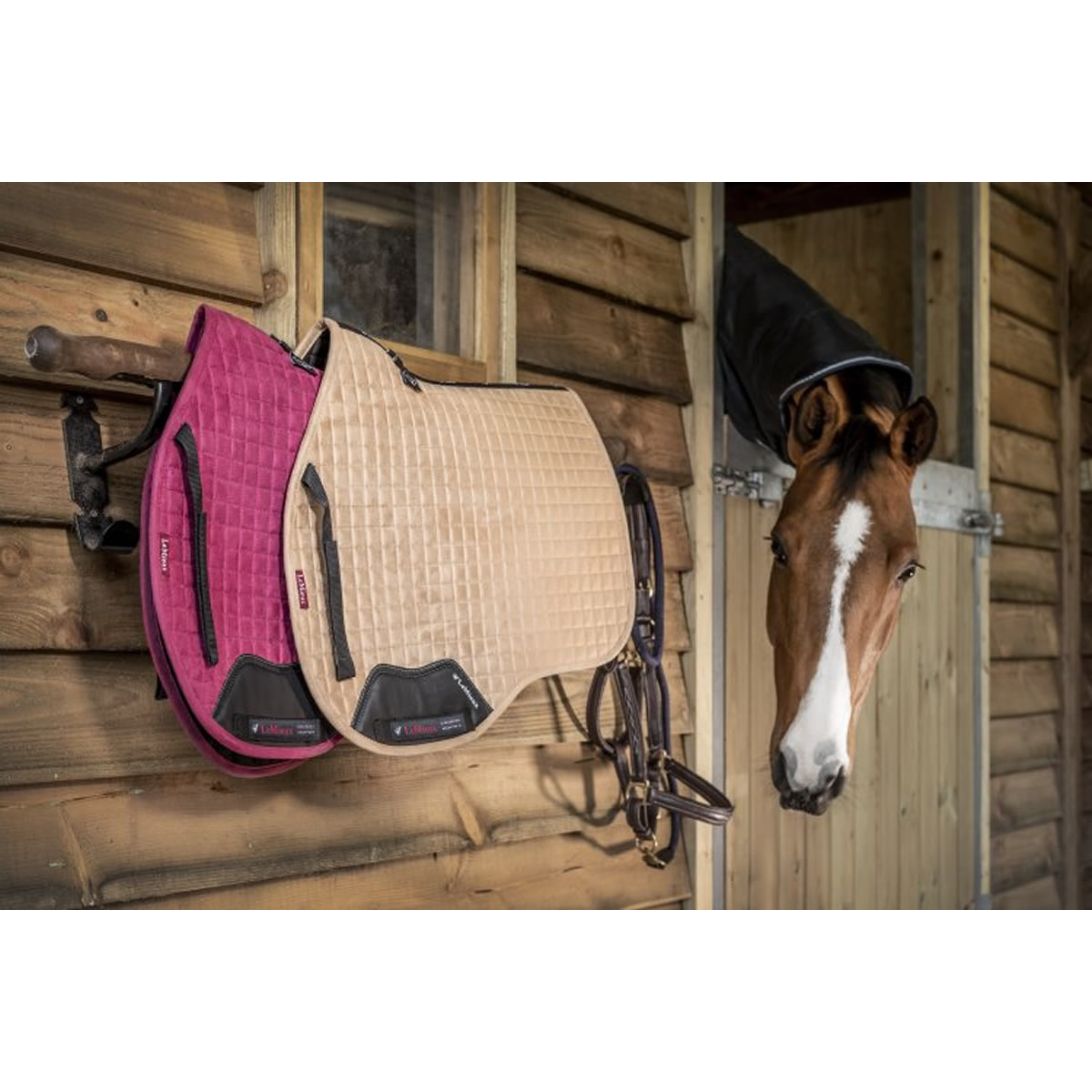 パッド Lemieux イヤーネット Gp Gp サドルパッド プロスポーツ サドルパッド ゼッケン 馬具 スクエア スエード 乗馬 乗馬用品 パッド Lemieux イヤーネット Gp Gp サドルパッド プロスポーツ サドルパッド ゼッケン 馬具 スクエア スエード 乗馬 乗馬用品
