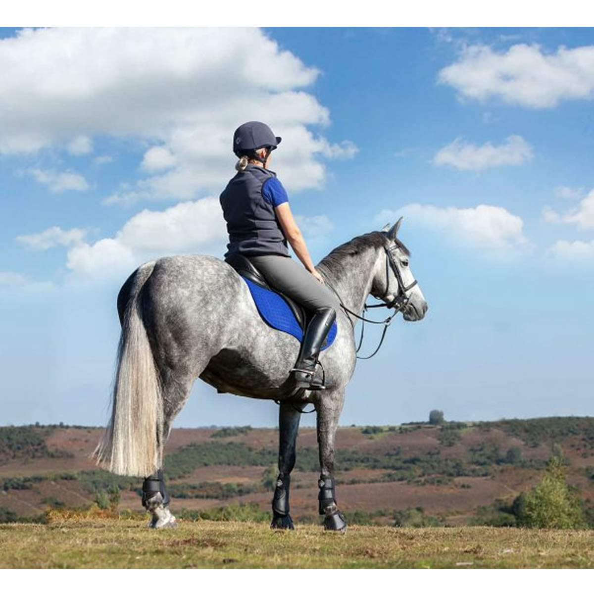 パッド Lemieux イヤーネット Gp Gp サドルパッド プロスポーツ サドルパッド ゼッケン 馬具 スクエア スエード 乗馬 乗馬用品