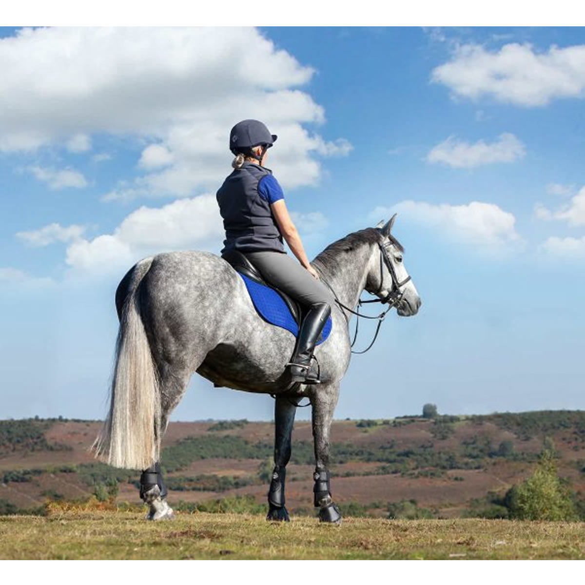 パッド Lemieux イヤーネット Gp Gp サドルパッド プロスポーツ サドルパッド ゼッケン 馬具 スクエア スエード 乗馬 乗馬用品 パッド Lemieux イヤーネット Gp Gp サドルパッド プロスポーツ サドルパッド ゼッケン 馬具 スクエア スエード 乗馬 乗馬用品