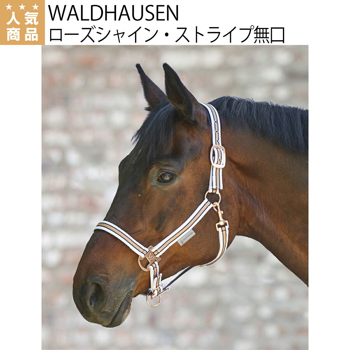 楽天市場】乗馬 無口 曳手 WALDHAUSEN ボア付き エレガント ホルター 乗馬用品 馬具 乗馬用品ジョセス : 乗馬用品専門店ジョセス