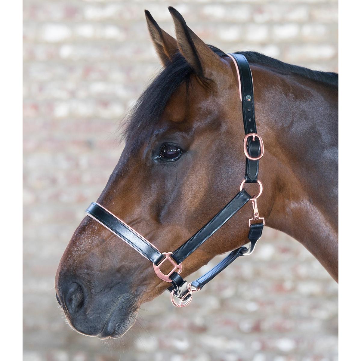 ポイント5倍 乗馬用品 乗馬 無口 無口 曳手 乗馬 Waldhausen Rose Gold 無口 乗馬用品 馬具 乗馬用品専門店ジョセス全体が本革仕様の本格派無口 使用されている金具が全てローズゴールドで上品な仕上がりになっています