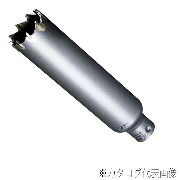 MIYANAGA ミヤナガ 回転用 Hコア ポリクリック カッター 120X130 PCHW120C