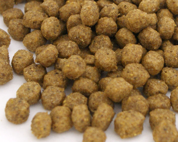 宠物·宠物用品 犬类用品 狗粮 狗饲料 商品详细信息  分享: 已复制