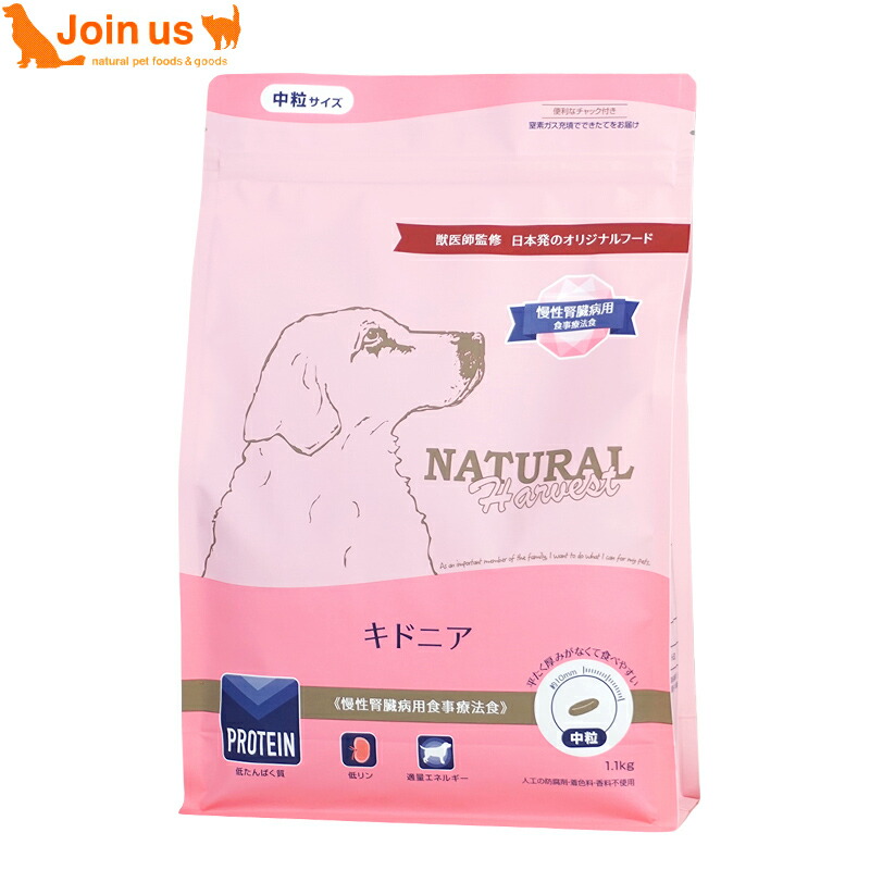ライフアシスト 自分で食べられない愛犬に ペットライン 介護 メディコート Amazon.co.jp: （まとめ買い）ペットライン メディコート ライフ