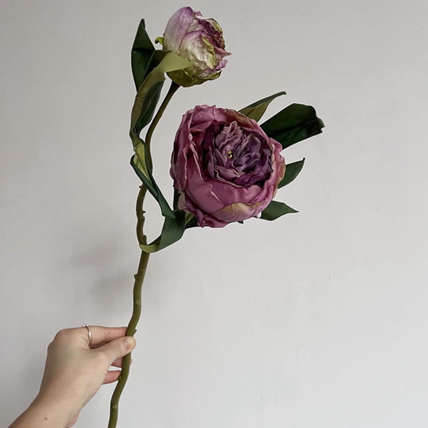 1本 名取り草 造花 胸花 室内装飾 枯れない 差し上げ物 差し上げ物 作物御花 執務室 店/茶店 寄りあい リビング ガーデニング 臥し所 御芽出度 総合博物館 介護ホーム お部屋/生まれ落ちる日 執務室/基準打数 飾