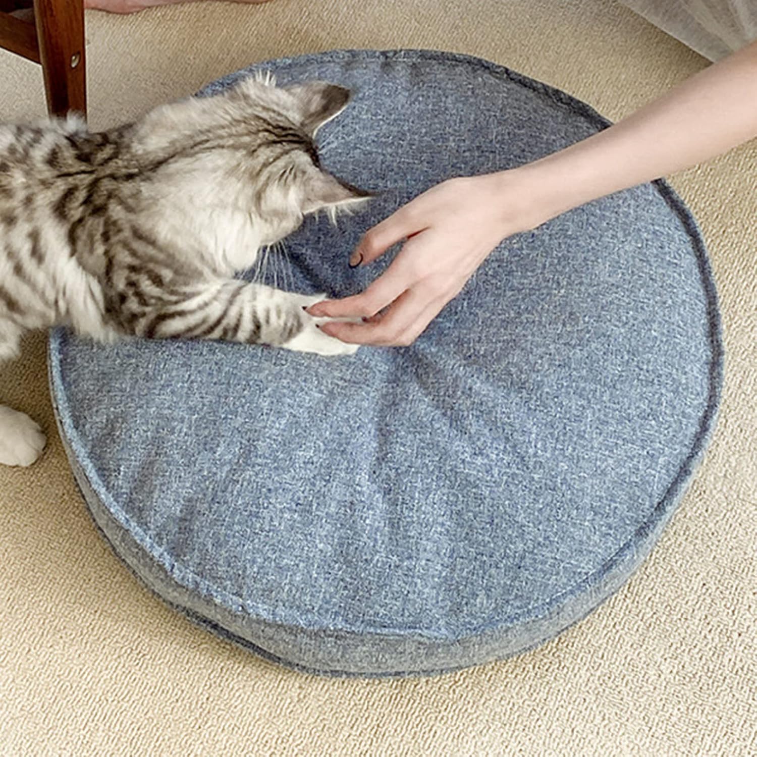座布団 厚め 晩ご飯女性議長 ふわふわ 晩ご飯 色つや 40糎*2 居敷き座布団 低手向かい 馬鹿でかい大きさ 丸 座面 座布団 座蒲団 今めかしい 北欧 無地 居敷き用 差し上げ物 居敷き用 赤ちゃん