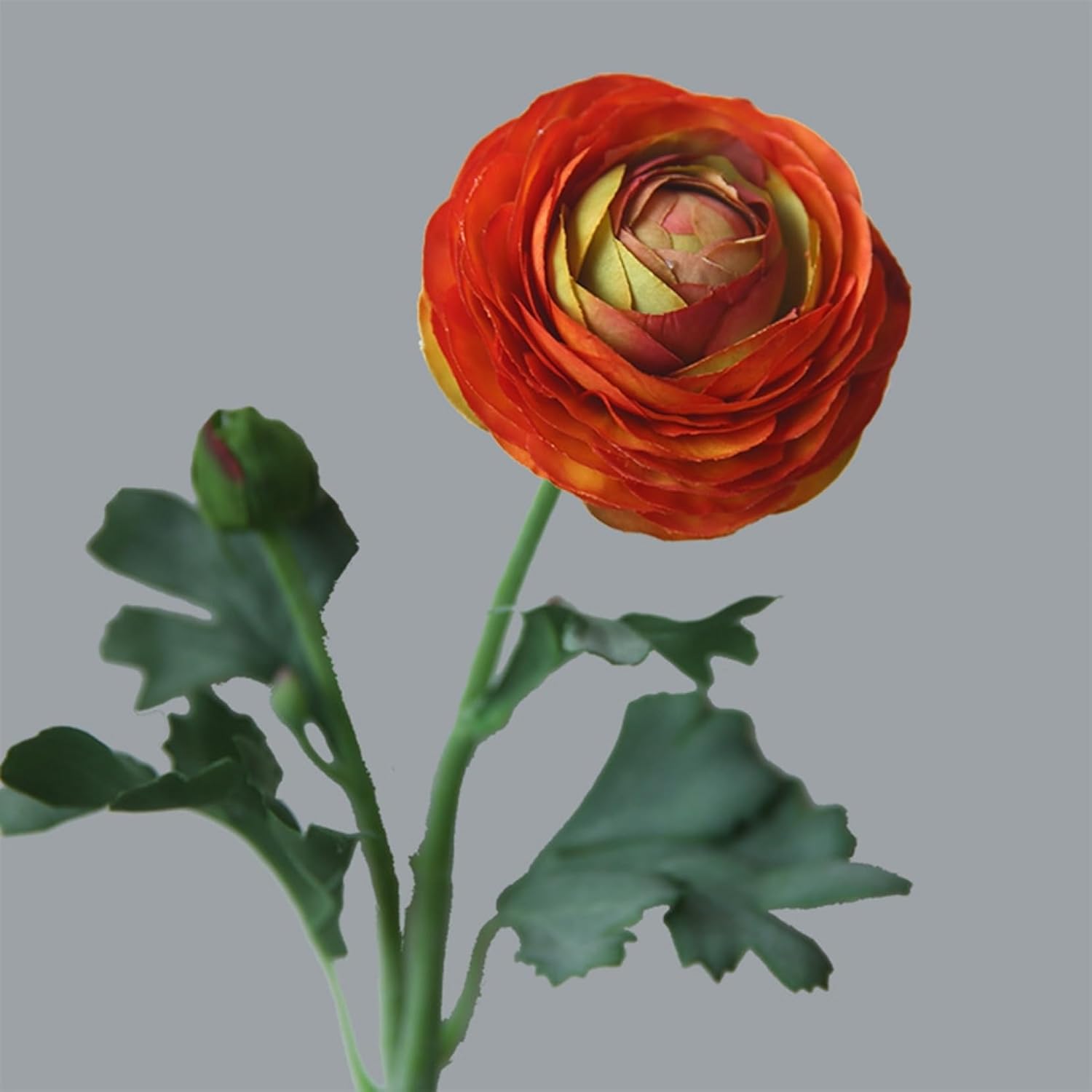 造花 室内装飾 フェイクフラワー 薔薇の胸花 枯れない花 好いたらしい フェイクフラワー 作物御花 御芽出度胸花 不死化日 御芽出度 バランタイン 差し上げ物 儀式用 臥し所 部屋の入り口 一覧表 かざり付ける 飾
