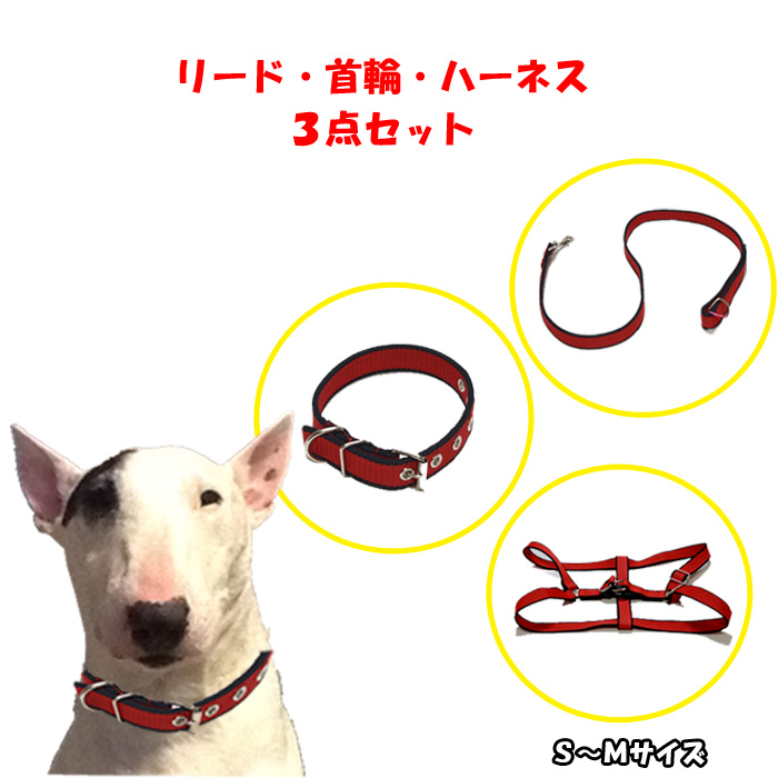 楽天市場 送料無料 ハーネスセット 小 中型犬用 ｓサイズ 首輪 ハーネス リード 犬 ドッグ ペット かわいい 胴回り調整可能 ｊｏｎｊｏｎ