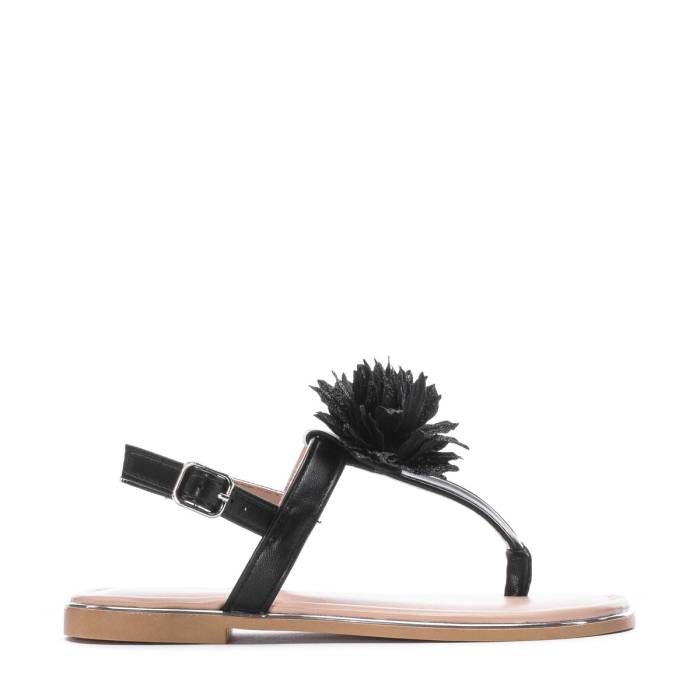 Celia 【 Queta Kids Black 】 ジュニア キッズ 黒色 ブラック 10,074円