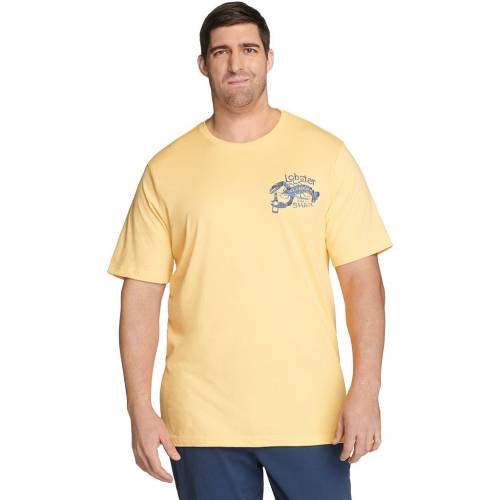 好評 アイゾッド Izod グラフィック Tシャツ 大きめ Izod Sportswear Saltwater Graphic Tee Sundress メンズファッション トップス Tシャツ カットソー 開店祝い Shiatsu Rboudet Net