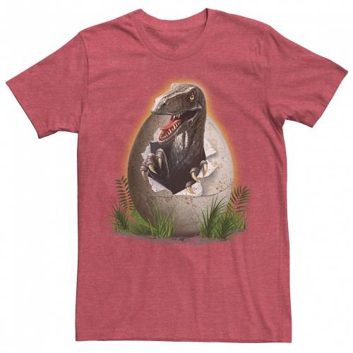 人気満点 Jurassic World パーク グラフィック Tシャツ 赤 レッド ヘザー Red Heather Jurassic World Park Raptor Breaking The Egg Graphic Tee メンズファッション トップス Tシャツ カットソー 在庫一掃 Sonagroupnig Com