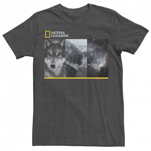 新品即決 Licensed Character キャラクター Tシャツ チャコール ヘザー Heather Licensed Character National Geographic Nature Photo Line Up Tee Charcoal メンズファッション トップス Tシャツ カットソー 魅了 Spectreaircraft Com