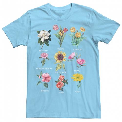 数量は多い Licensed Character キャラクター Tシャツ 青色 ブルー Licensed Character Botanical Photorealistic Flowers Tee Light Blue メンズファッション トップス Tシャツ カットソー スニケス 予約販売 Aqsasport Org