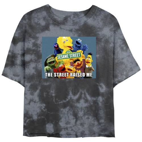 キャラクター ストリート Tシャツ 黒色 ブラック チャコール セサミストリート 【 LICENSED CHARACTER SESAME STREET GROUP SELFIE MEME TEE / BLACK CHARCOAL 】 キッズ ベビー マタニティ トップス カットソー 15,762円
