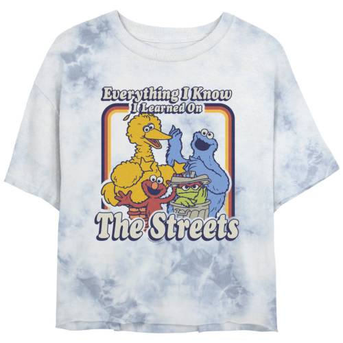 キャラクター ストリート Tシャツ 白色 ホワイト 青色 ブルー セサミストリート 【 LICENSED CHARACTER SESAME STREET EVERYTHING I KNOW TEE / WHITE BLUE 】 キッズ ベビー マタニティ トップス カットソー｜スニケス