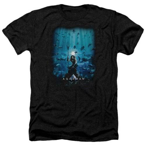 キャラクター ヘザー Tシャツ 黒色 ブラック 【 LICENSED CHARACTER AQUAMAN MOVIE POSTER ADULT HEATHER T-SHIRT / BLACK 】 メンズファッション トップス カットソー|スニケス