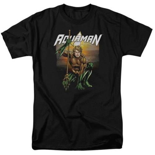 キャラクター スリーブ Tシャツ 黒色 ブラック 半袖 【 LICENSED CHARACTER JUSTICE LEAGUE OF AMERICA BEACH SUNSET SHORT SLEEVE ADULT T-SHIRT / BLACK 】 メンズファッション トップス カットソー