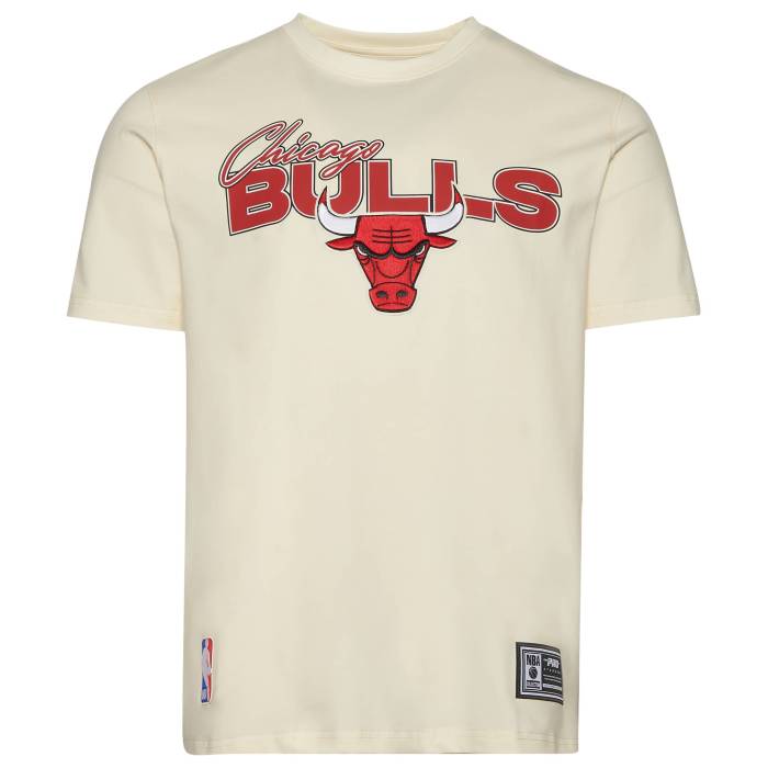 労働者階級標準尺度 Pro Standard 【 Bulls World Of Basketball T-Shirt Men\u0027s Eggshell/Multi 】 ブルズ 籠球 プルオーバー メンズ