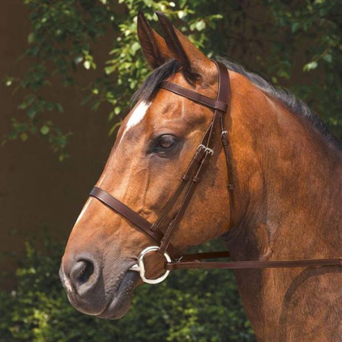 Requisite 【 Snaffle Bridle With Reins Unisex Havana 】 ユニセックス 17,280円