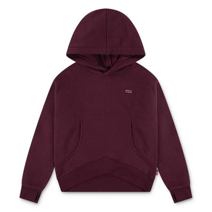 リーヴァイズジーンズ Levis 【 Kids\u0027 Small Logo Hoodie Kids Truffle Xal 】 ロゴタイプ フーディー パーカー お坊っちゃん キッズ