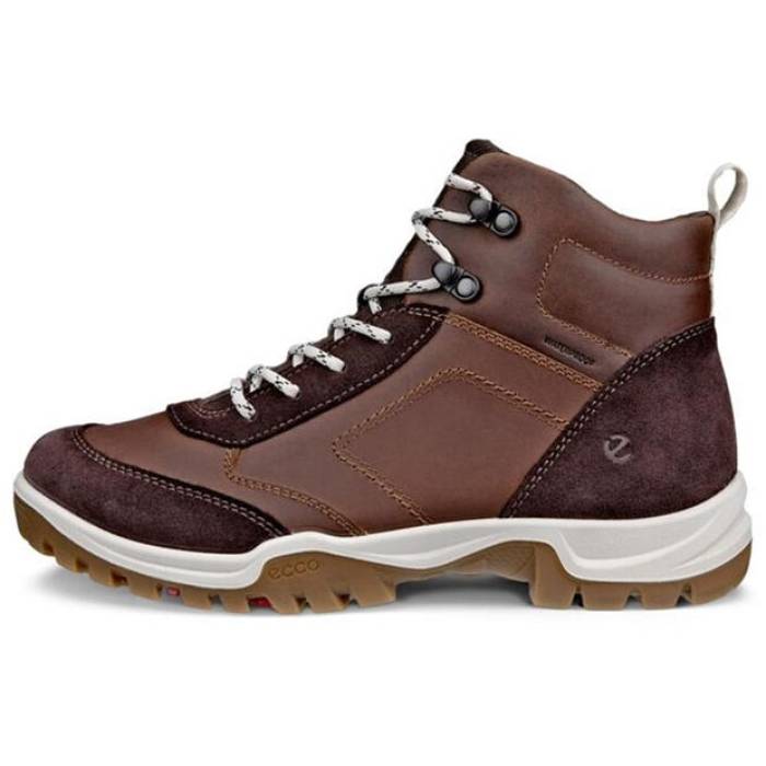エコー Ecco 【 Xpedition Iii Ld00 Women Coffee 】 レディース