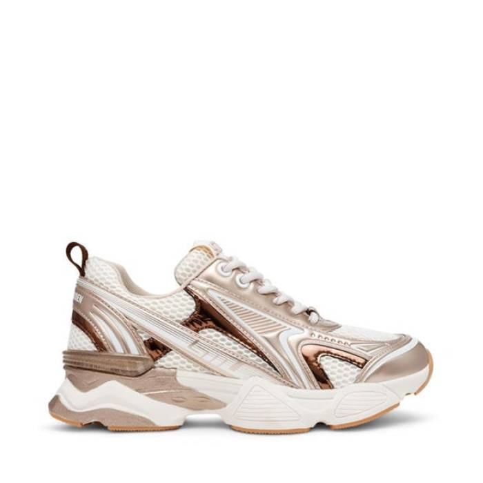 スティーブマデン Steve Madden 【 Women\u0027s Heritage Low-Top Trainers Women Gold 】 レディース シューズ スニーカー レディース ゴールド