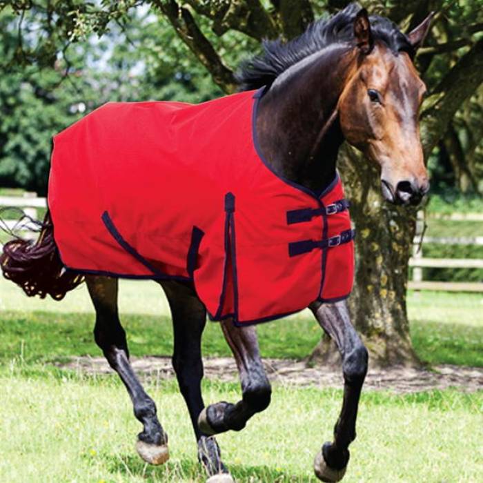 Requisite 【 Standard 600 Lite Turnout Unisex Red/Navy 】 standard スタンダード ライト ユニセックス Red 赤・レッド 紺色 ネイビー