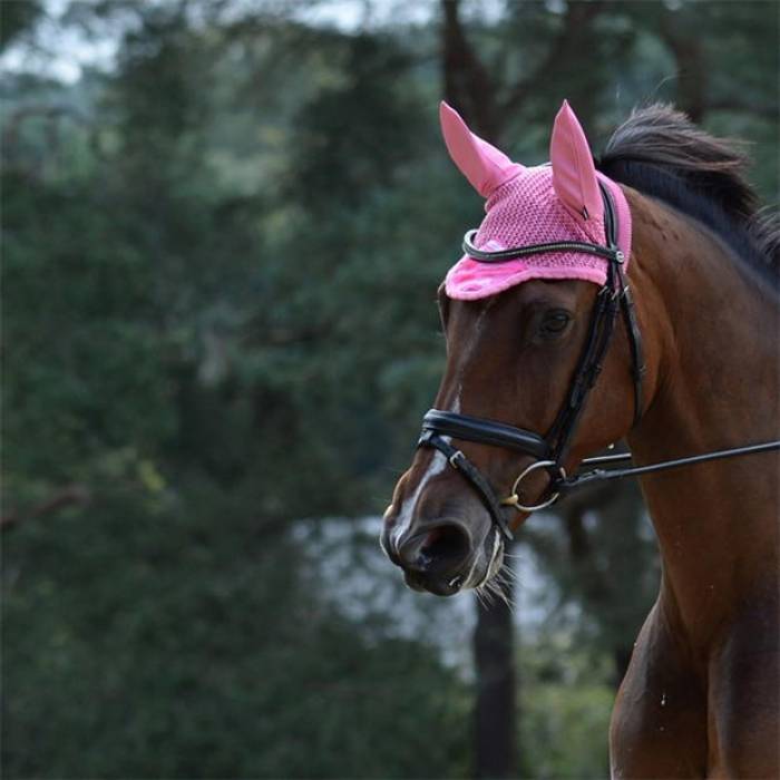 Weatherbeeta 【 Prime Marble Ear Bonnet Unisex Pink Swirl Marble 】 ユニセックス pink ピンク