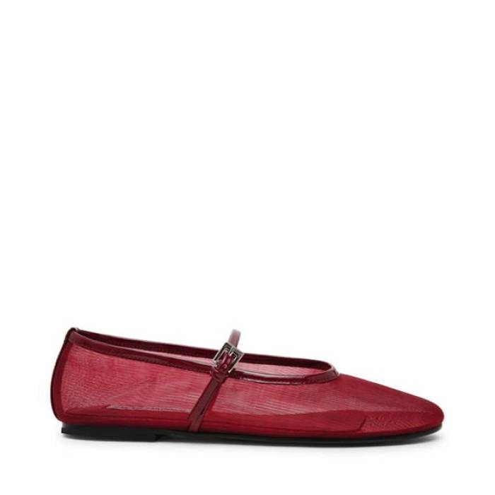 スティーブマデン Steve Madden 【 Women's Ballet Pumps Women Wine 】 レディース レディース|スニケス