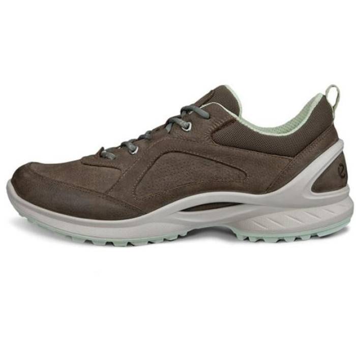エコー Ecco 【 Biom Energi Ld61 Women Dark Clay 】 レディース