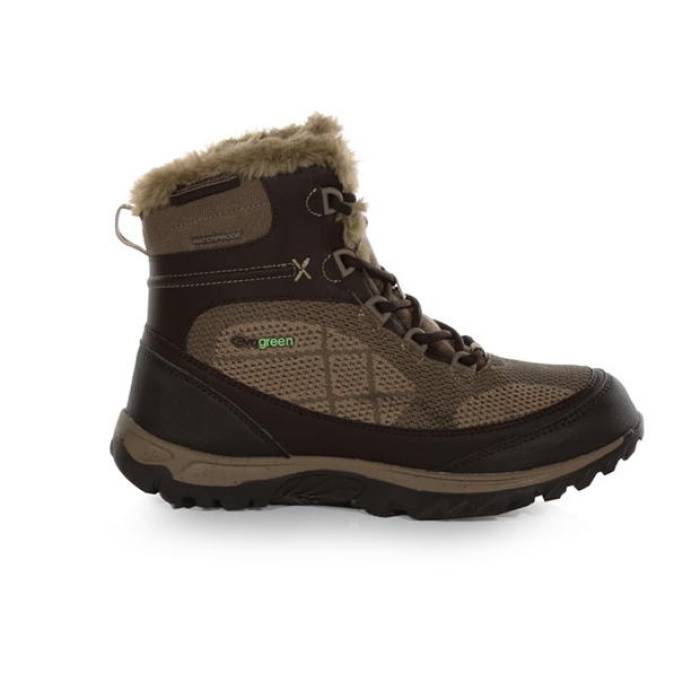 Regatta 【 Hawthorn Waterproof Hiking Boot Women Peat/Clay 】 ブーツ レディース