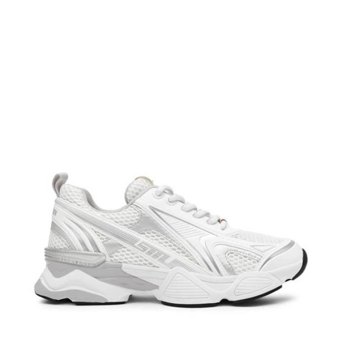スティーブマデン Steve Madden 【 Women\u0027s Heritage Low-Top Trainers Women White Multi 】 レディース シューズ スニーカー レディース 白いこと 白いこと