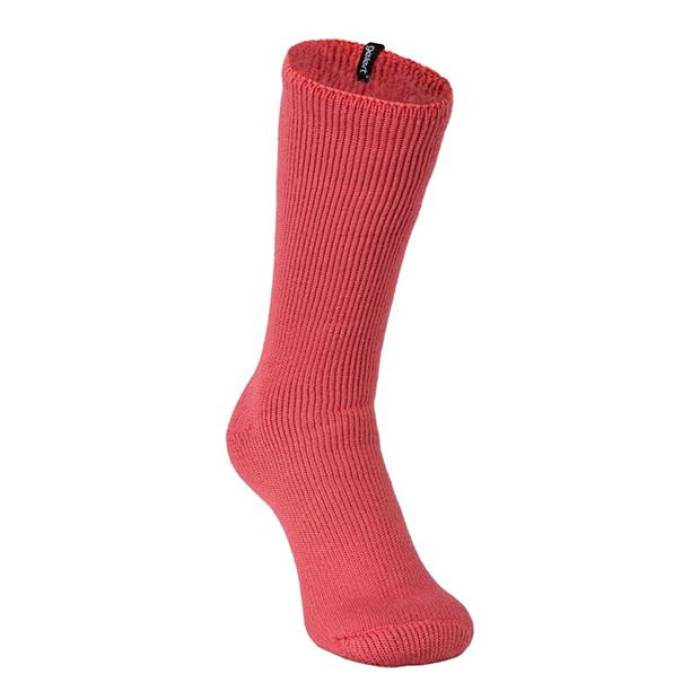 Gelert 【 Heat Wear Socks Womens Women Pink 】 ヒート ソックス・靴下 レディース レディース pink ピンク