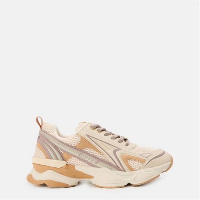 スティーブマデン Steve Madden 【 Women\u0027s Heritage Low-Top Trainers Women Taupe Rose Gld 】 レディース シューズ スニーカー レディース Rose さくら色