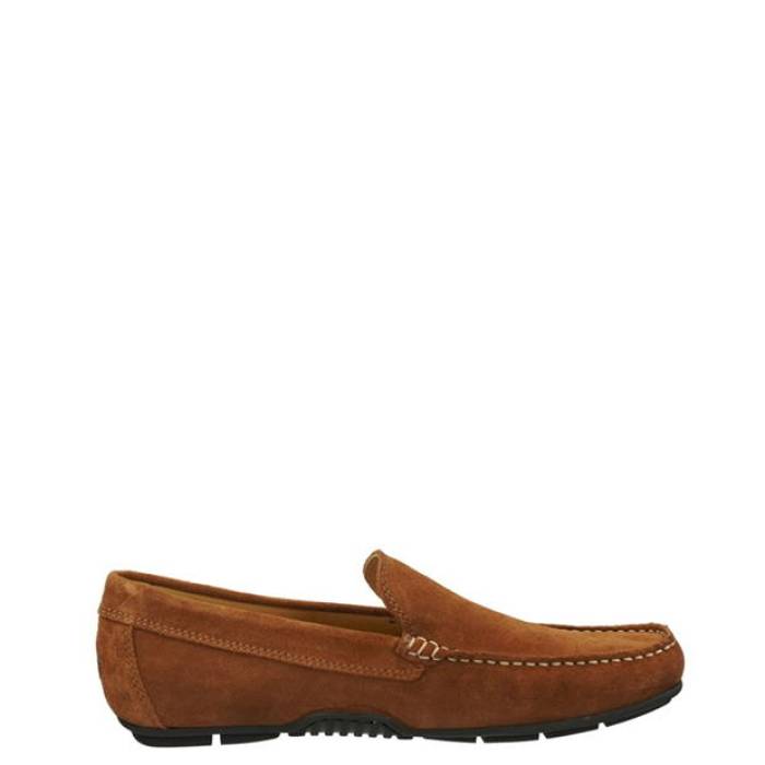 ガント Gant 【 Men Low-Top Trainers Men Brown 】 メンズ シューズ スニーカー メンズ 茶色 ブラウン