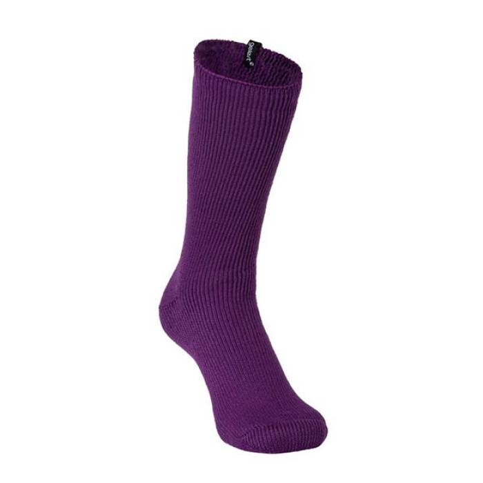 Gelert 【 Heat Wear Socks Womens Women Purple 】 ヒート ソックス・靴下 レディース レディース Purple 紫・パープル
