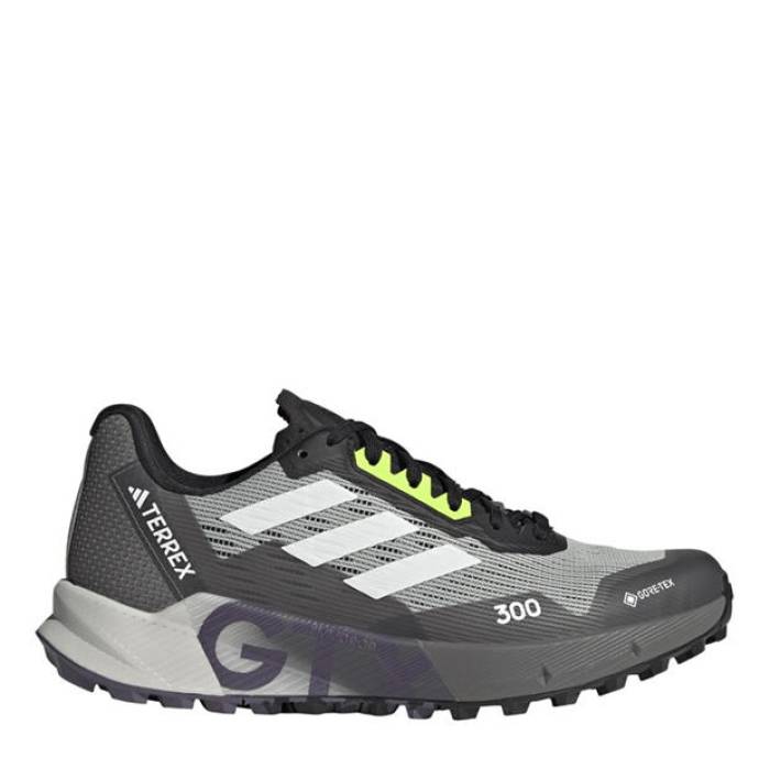 アディダス Adidas 【 Agrvc Flw2Gtx Ld99 Women Grey 】 レディース 薄墨色 薄墨色