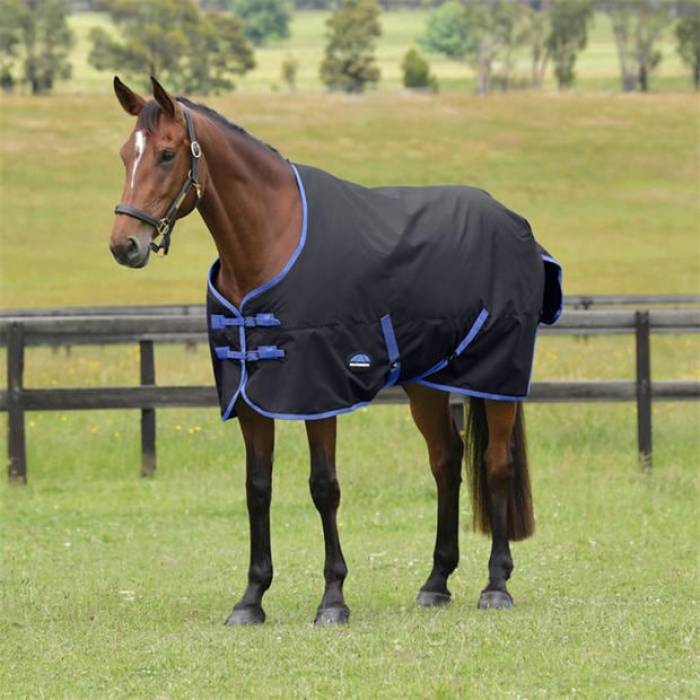 Weatherbeeta 【 Comfitec Tyro Standard Neck 220G Turn Out Rug Unisex Black/Cobalt 】 standard スタンダード ユニセックス 黒色 ブラック