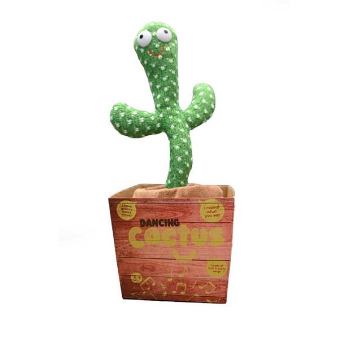 Dancing Cactus 【 Unisex Multi 】 ユニ一発やる