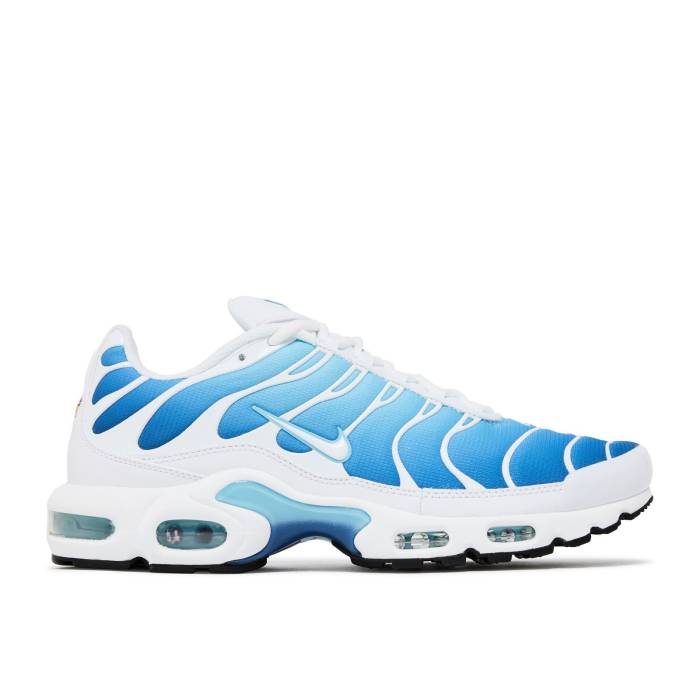 ナイキ Nike 【 Air Max Plus ky Blue Men 】 マックス メンズ