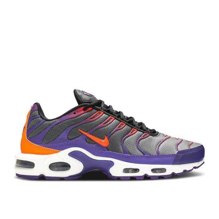 ナイキ Nike 【 Air Max Plus Color Flip Men 】 マックス メンズ