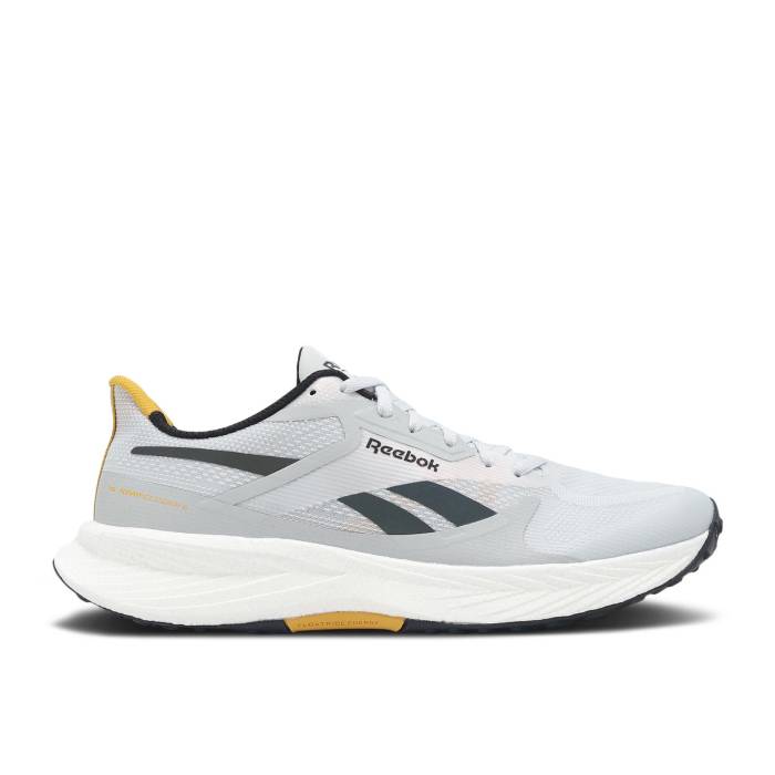 リーボック Reebok 【 Floatride Energy 6 \u0027Moon Grey Heritage Gold\u0027 Men Moon/Grey 1/Heritage Gold 】 活動力 薄墨色 薄墨色 メンズ 薄墨色 薄墨色 ゴールド
