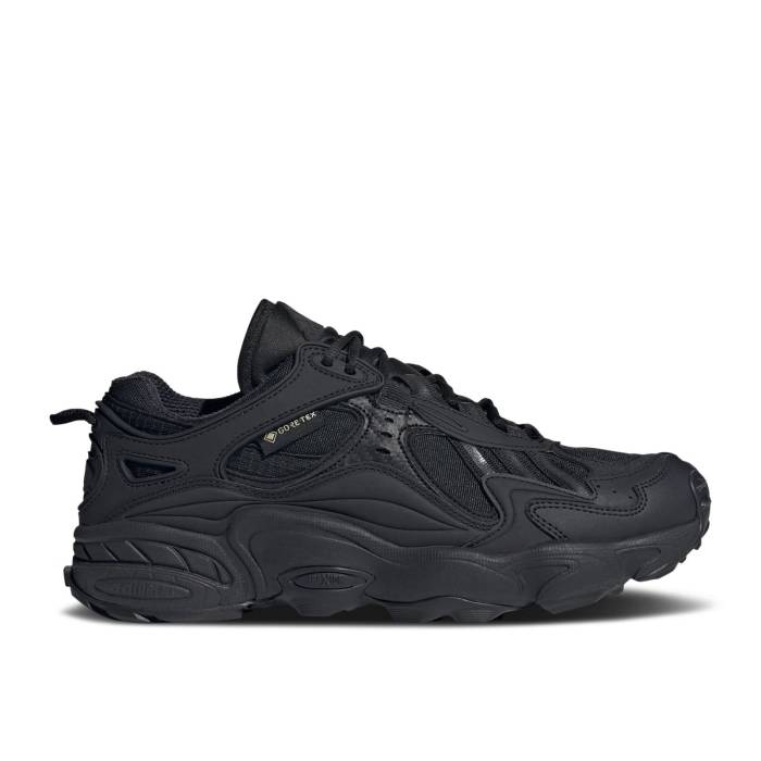 アディダス Adidas 【 Cadiant Fyw Gore-Tex \u0027Core Black\u0027 Men Core Black/Core Black/Cloud White 】 ゴアテックス メンズ 中核グループ 黒いこと 黒いこと 白いこと 白いこと