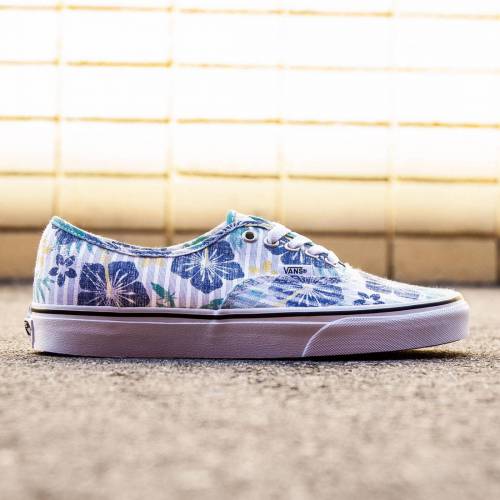 ヴァンズ バンズ オーセンティック アロハ スニーカー メンズ 【 VANS MEN AUTHENTIC - ALOHA STRIPES (BLUE / WHITE) 】