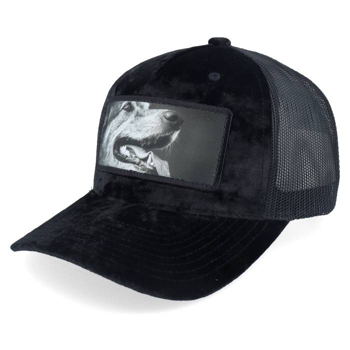 Calza Pennello 【 Happy Dog Big Patch Velvet Black Trucker Men Black 】 黒色 ブラック トラッカー メンズ 黒色 ブラック